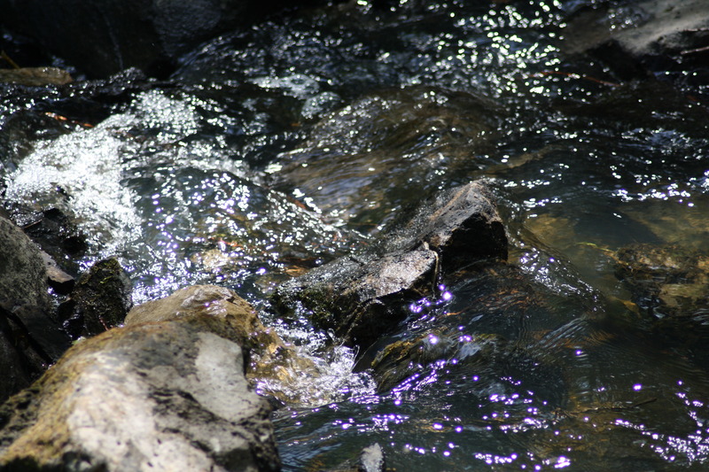 Light reflection in rippling brook