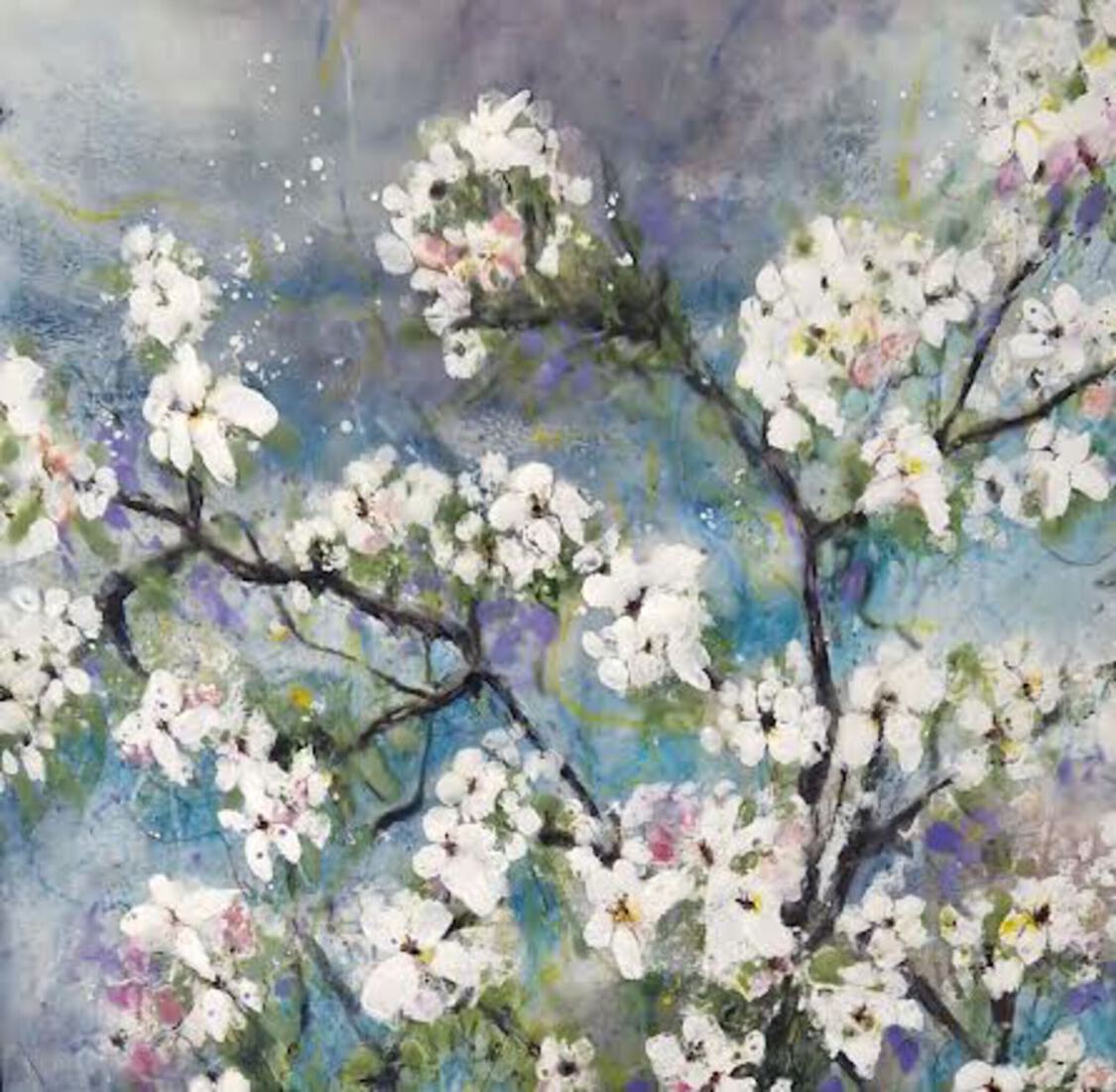 Bloesem blauwe lucht