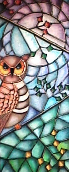 Uil in het maanlicht