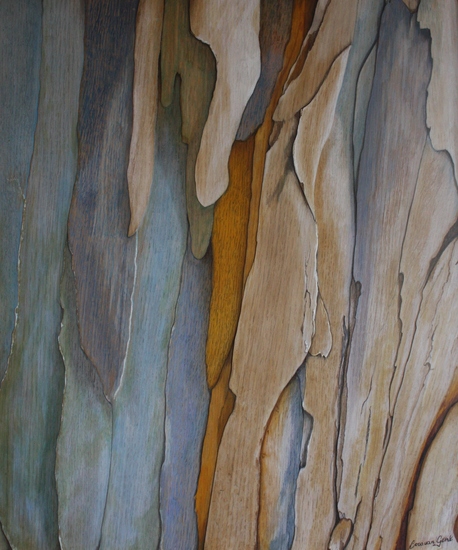 Veneer Eucalypt I