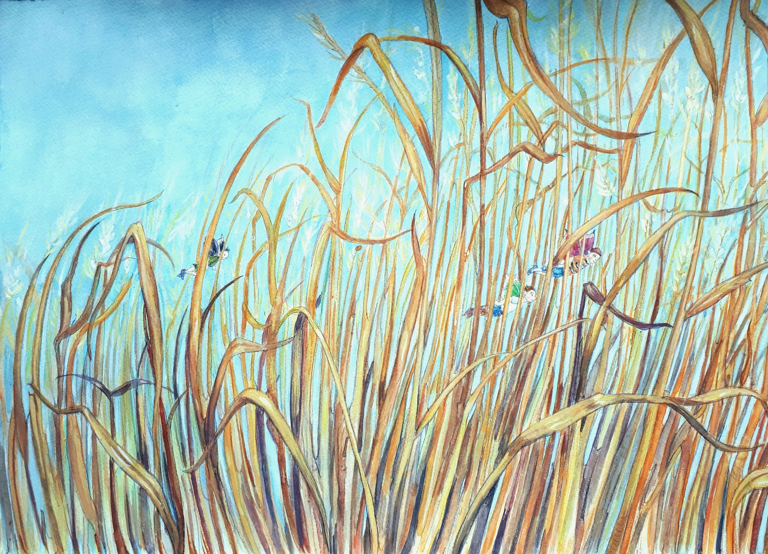 Riet