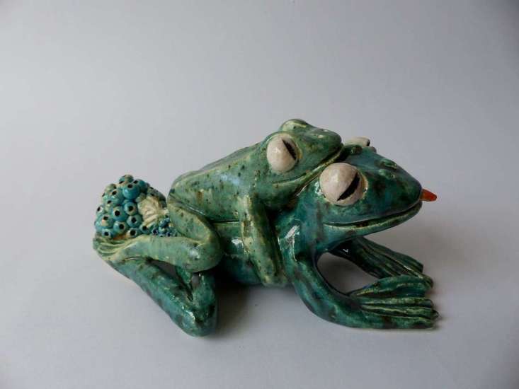 Parende kikkers met kikkerdril