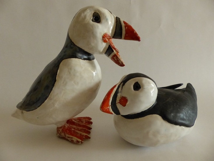 Stelletje papegaaiduikers