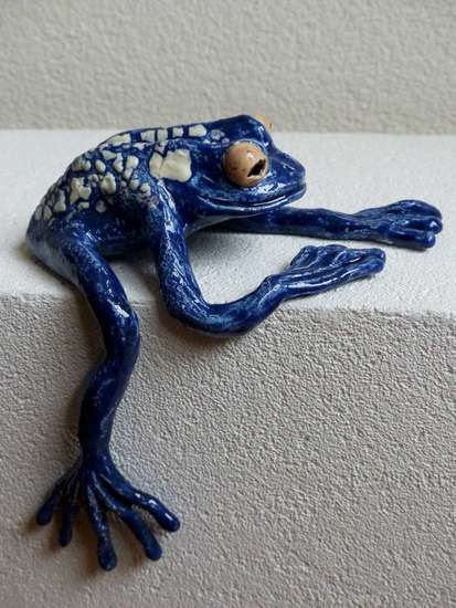 Blauwe pijlgifkikker L