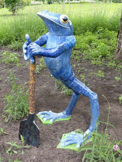 De Grote Kikkerkoning