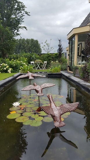 Opvliegende eenden (3e set)