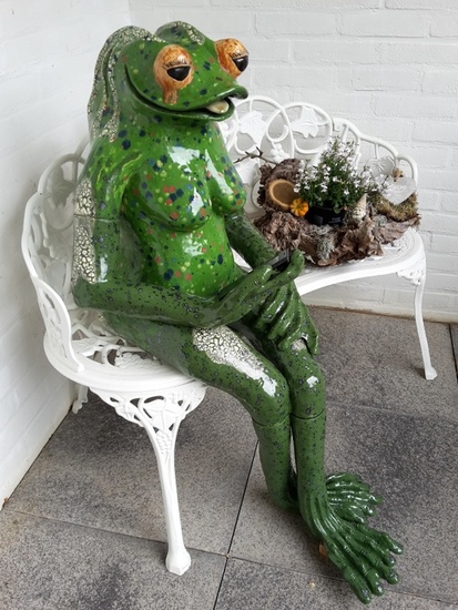 Lady Frog