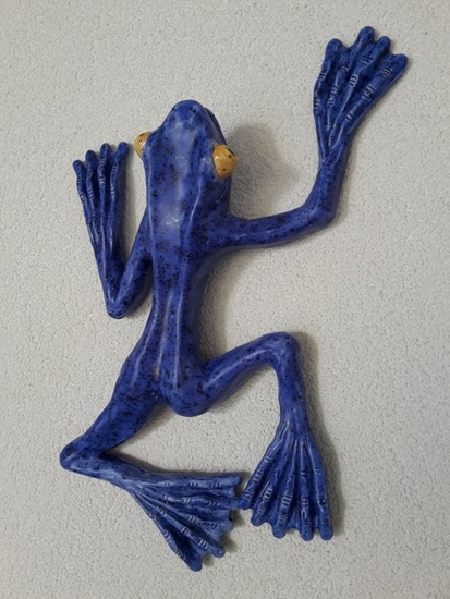 Klimkikker (de kleinste)