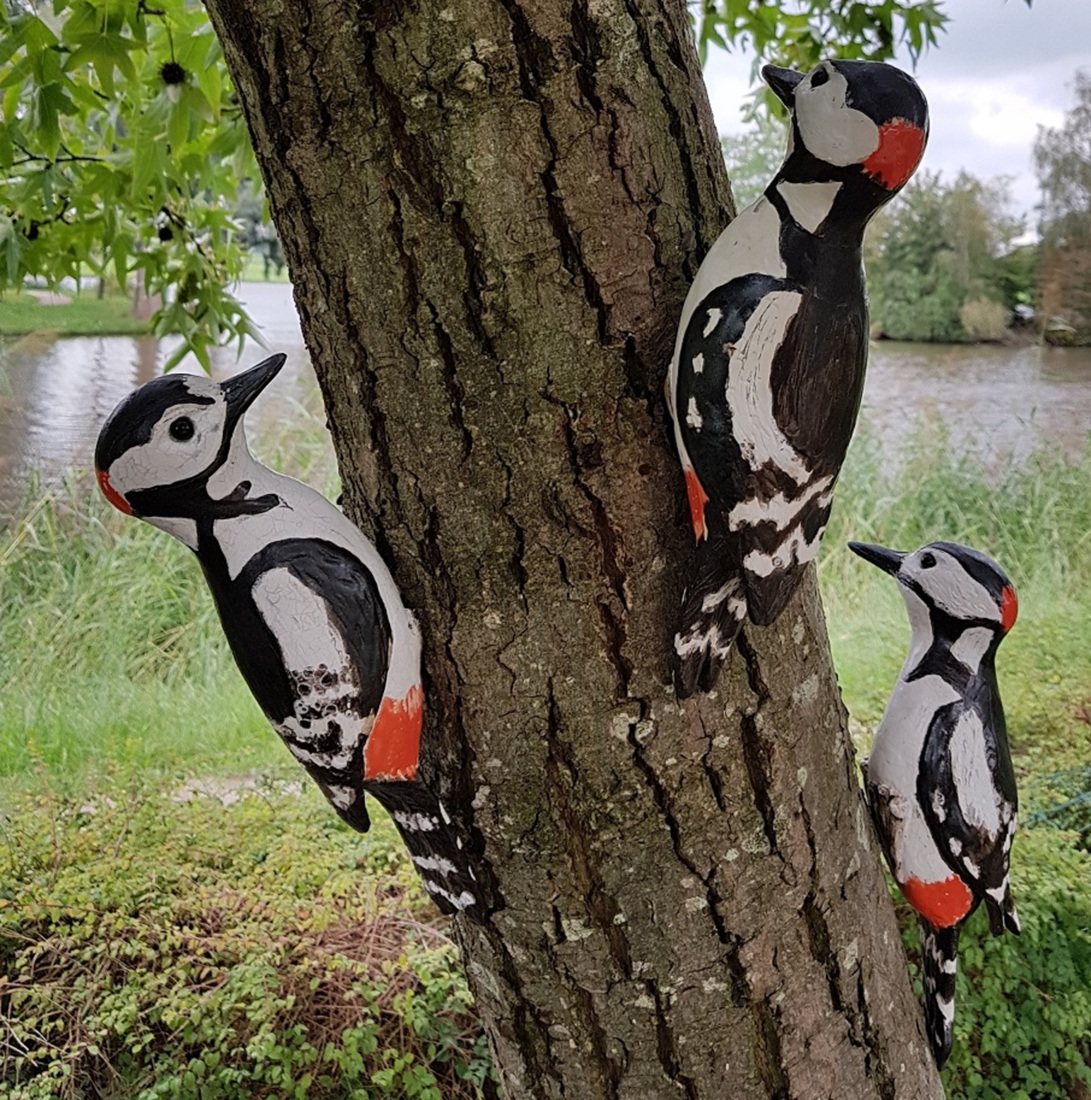 Grote Bonte Spechten