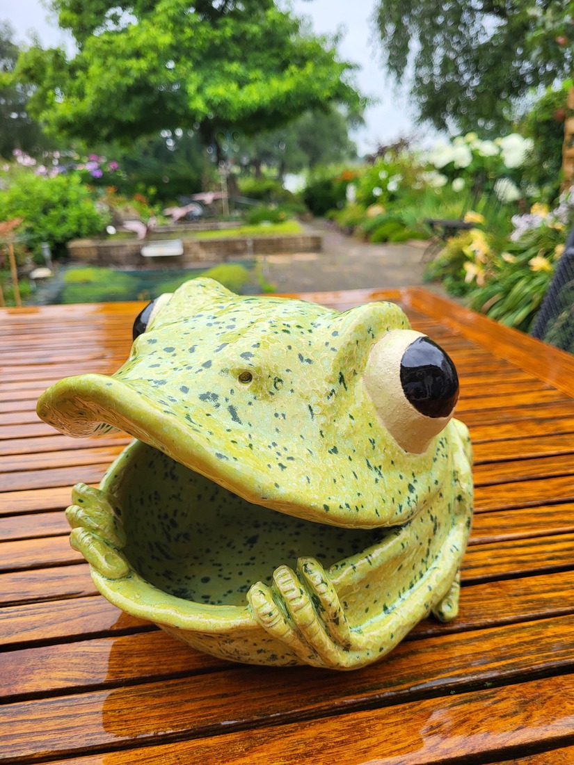 Vogelvoederhuis-Kikker