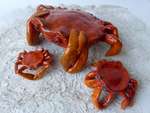 Kleine verzameling van krabben, gemaakt van keramiek