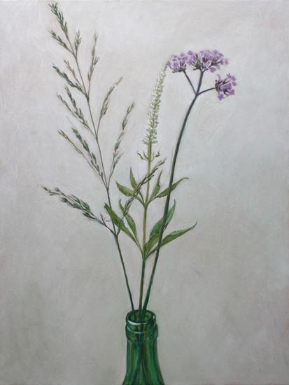verbena