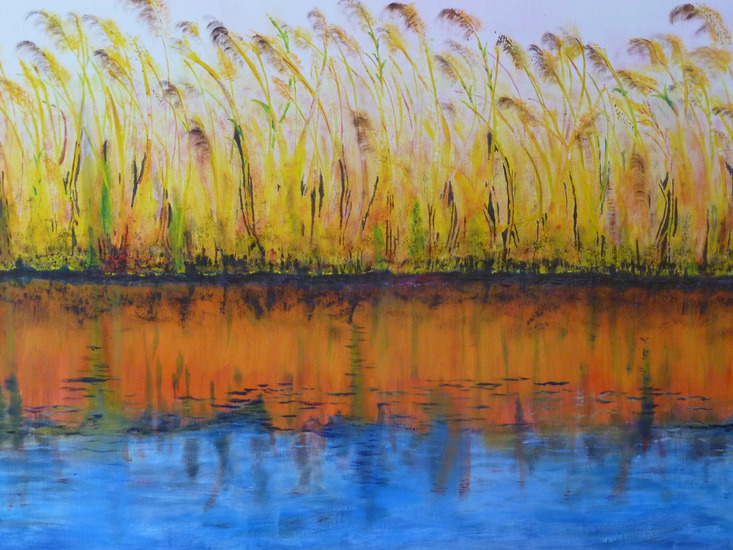 Laatste zonnestralen