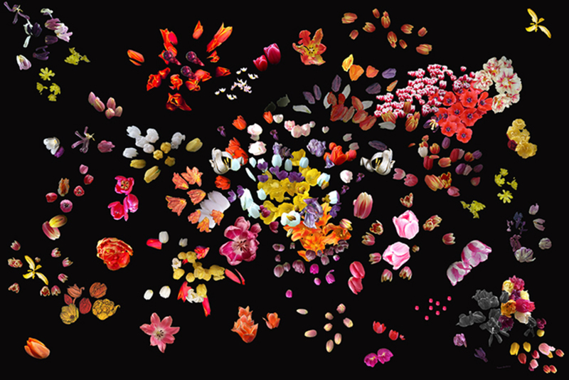 RijkGevuldBloemstillevenMetTulp 2016