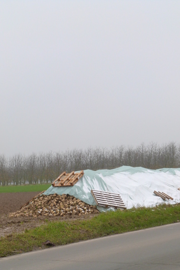 Sneeuw Blauw Landschap