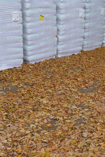 Gouden Bladeren, Witte Plastiek