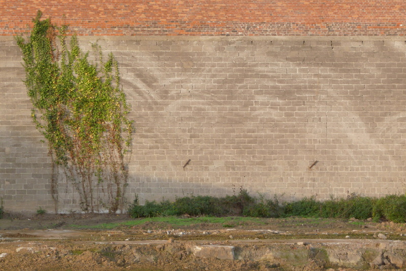 Herinneringen op de Muur