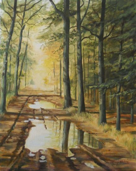 Modderpad Haagse bos