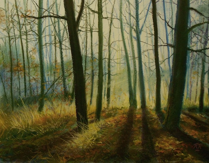 Ochtend op de Lonnekerberg