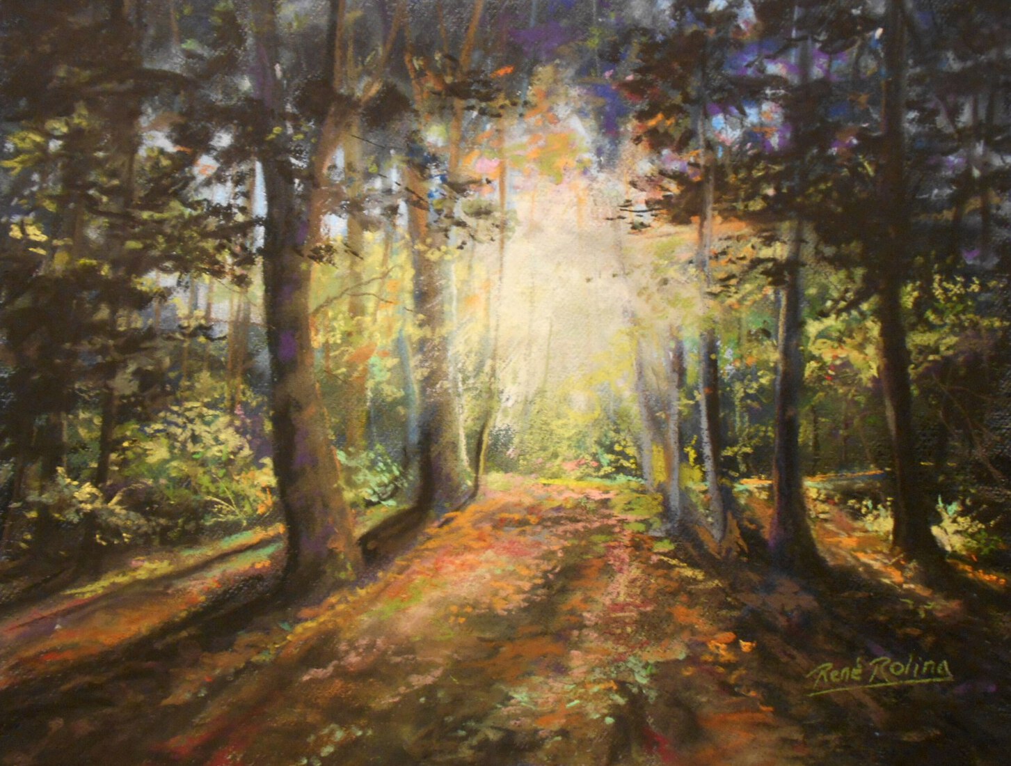 Najaarszon op Hof Espelo