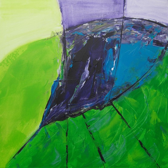 velden in de Provence