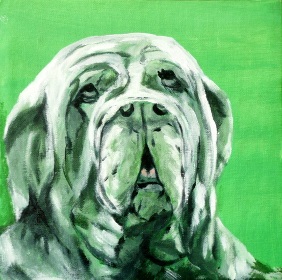 Mastino in groen