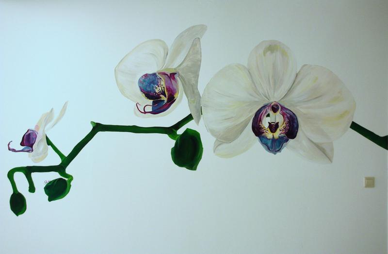 Muurschildering Orchidee