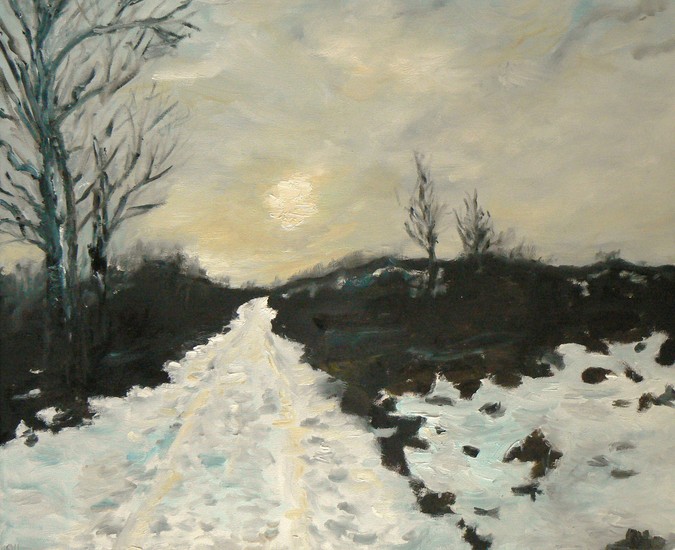 Meijendel winter 2010-2011