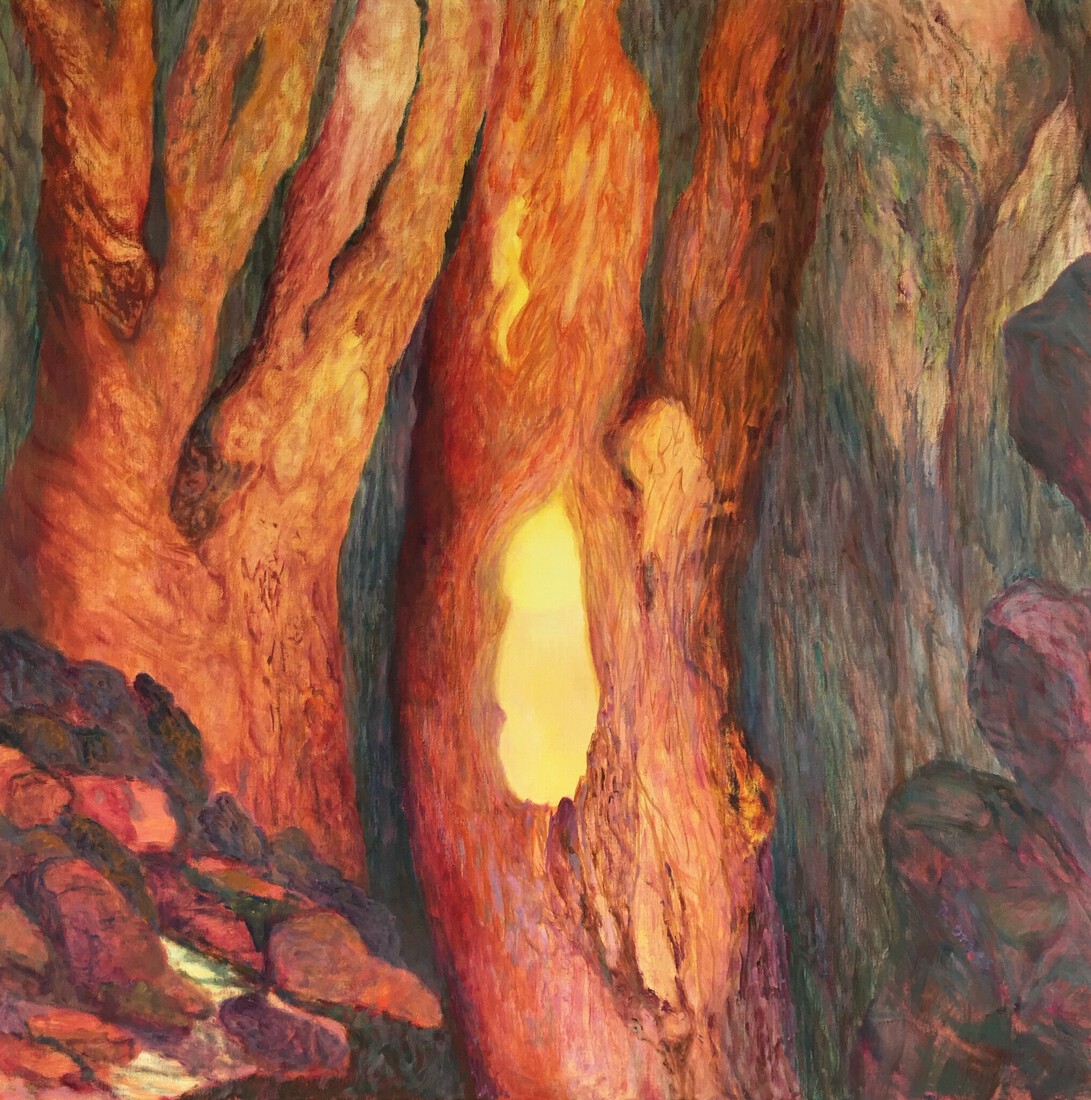 Bomen oprijzend tussen rotsen 