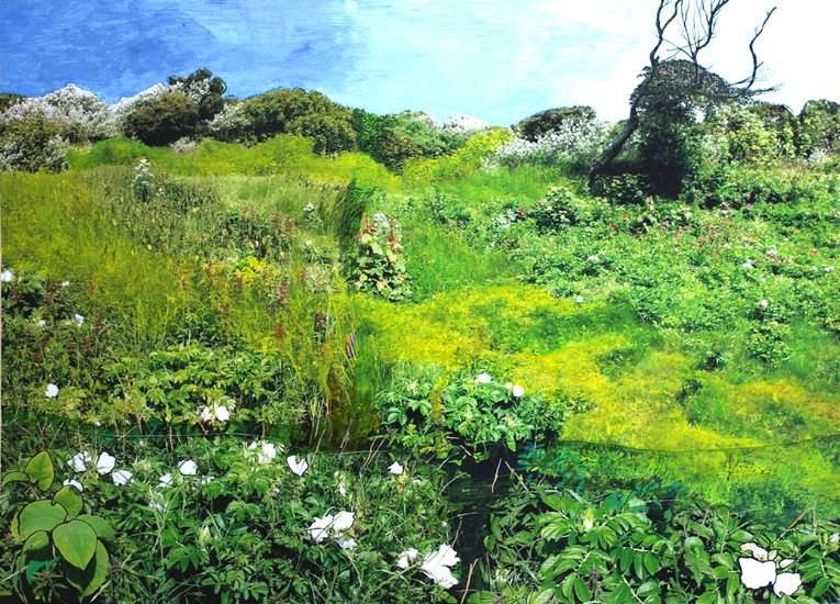 De duinen bij het Zuiderstrand, Den Haag