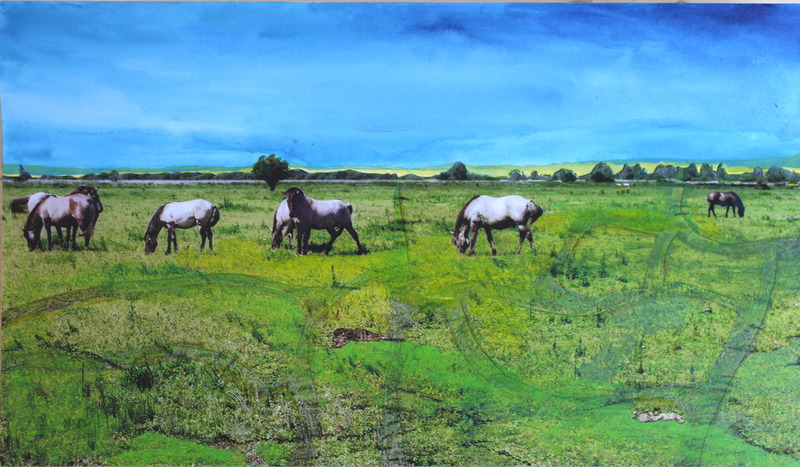 Paarden in de Oostvaardersplassen