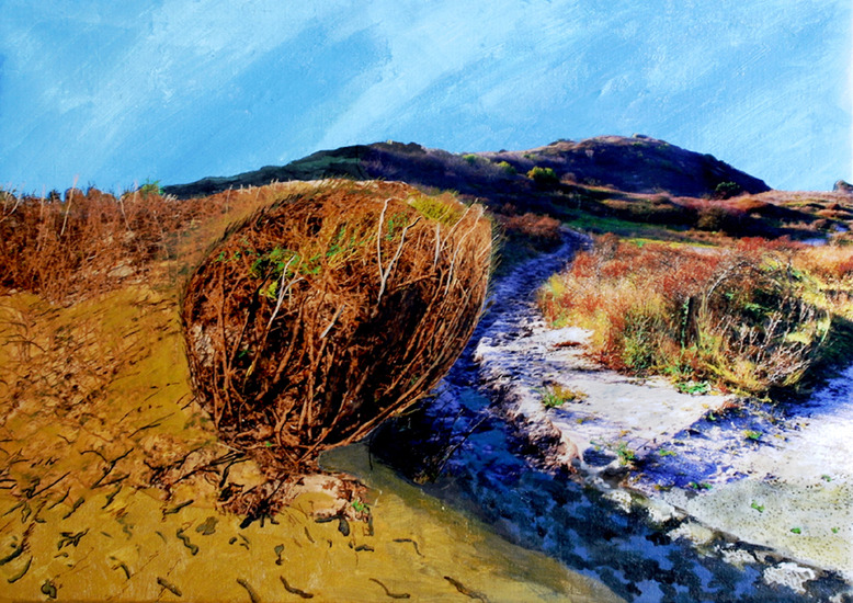 Zuiderstrand 2, Den Haag