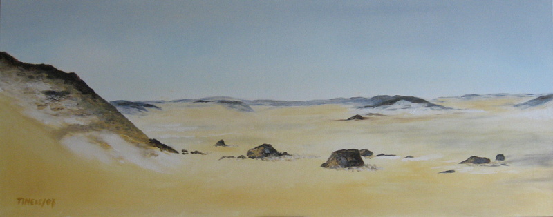 westelijke woestijn in Egypte