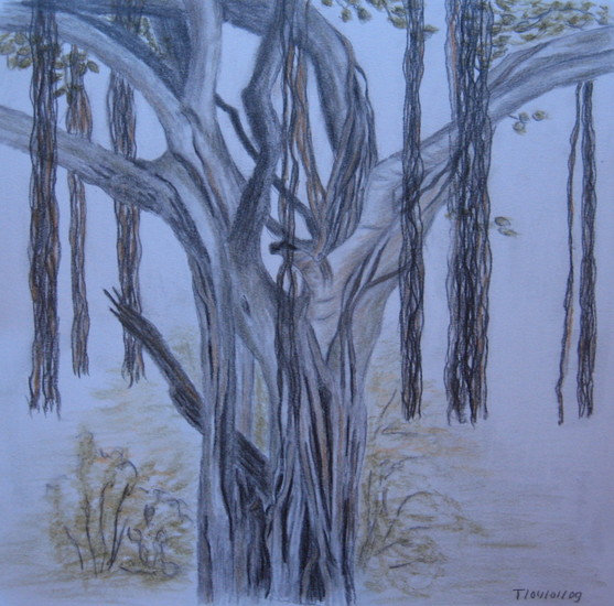 Banyan Tree (Chennai)