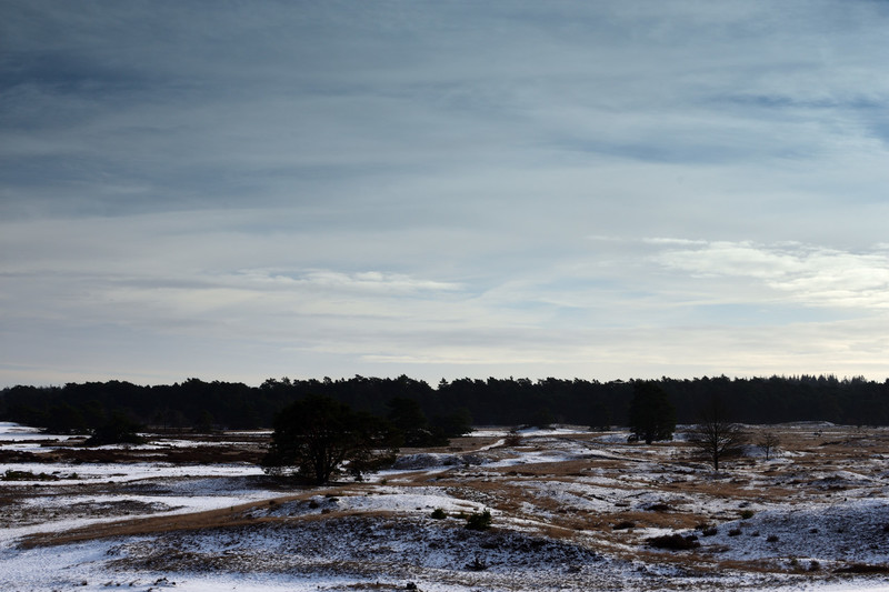 Uitzicht richting de Leuvenumse bos