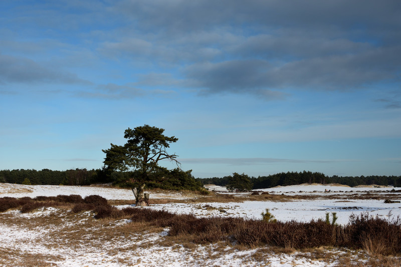 op de Hulshorsterzand
