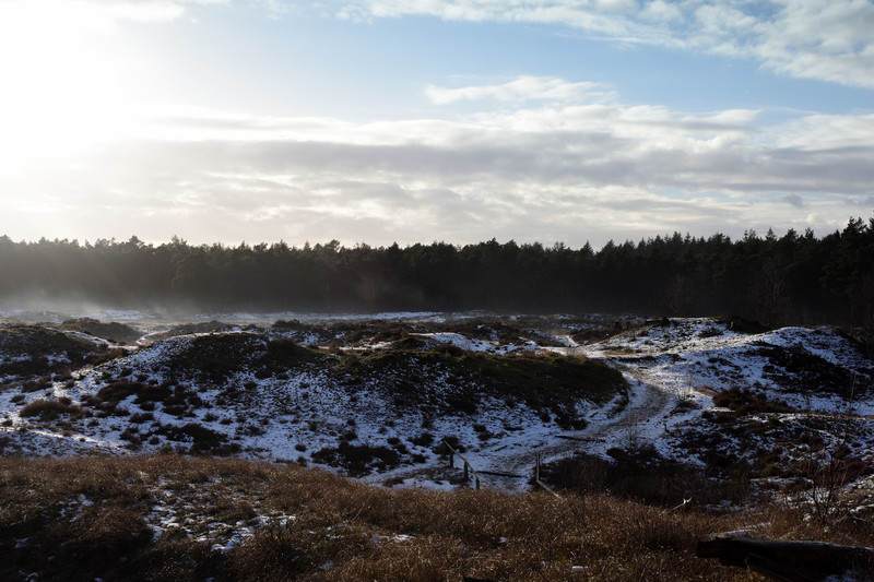 Uitzicht richting de Leuvenumse bos 2