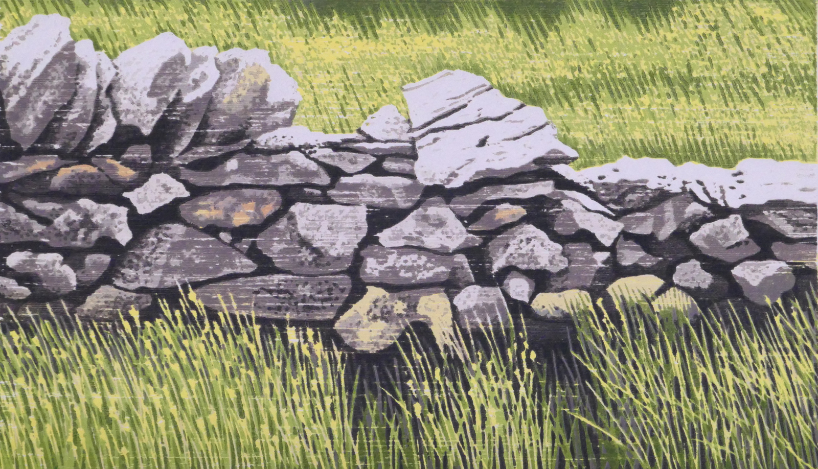 Muurtje in de natuur in Noord-Wales