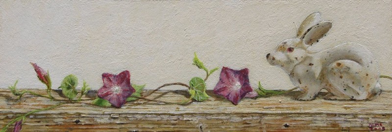 Konijn met Morning Glory