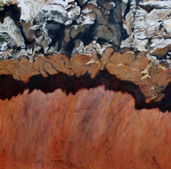 Bark from the Cork Oak