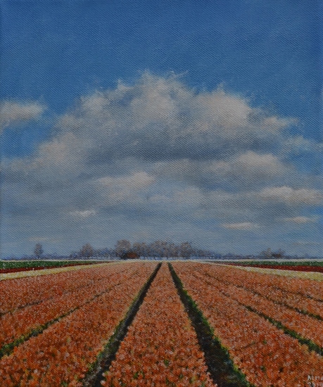 Oranje Tulpenveld