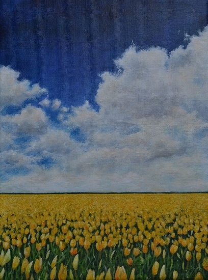 Yellow Tulip Field