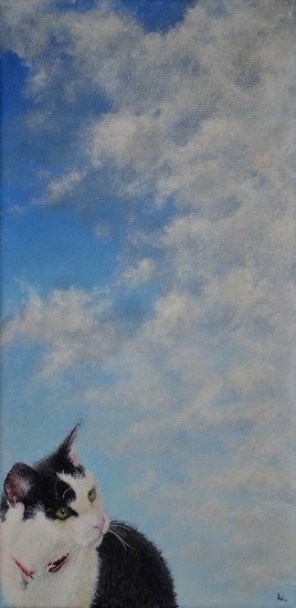 Henk is in de Wolken