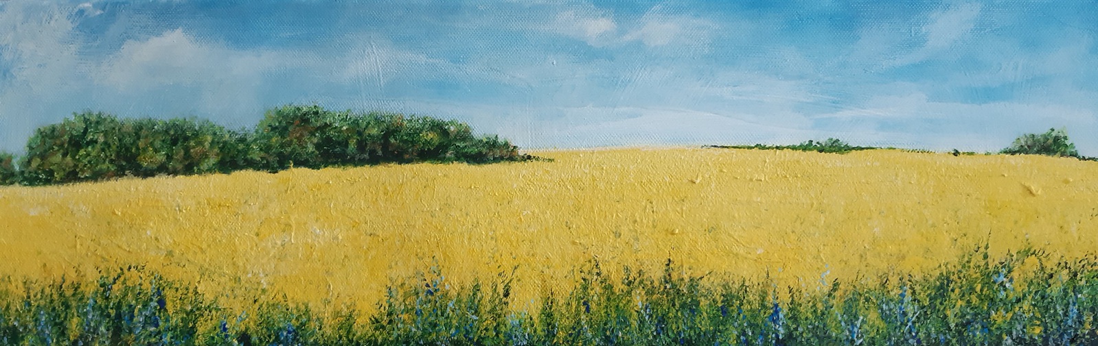 Koolzaadveld met Blauwe Bloemen