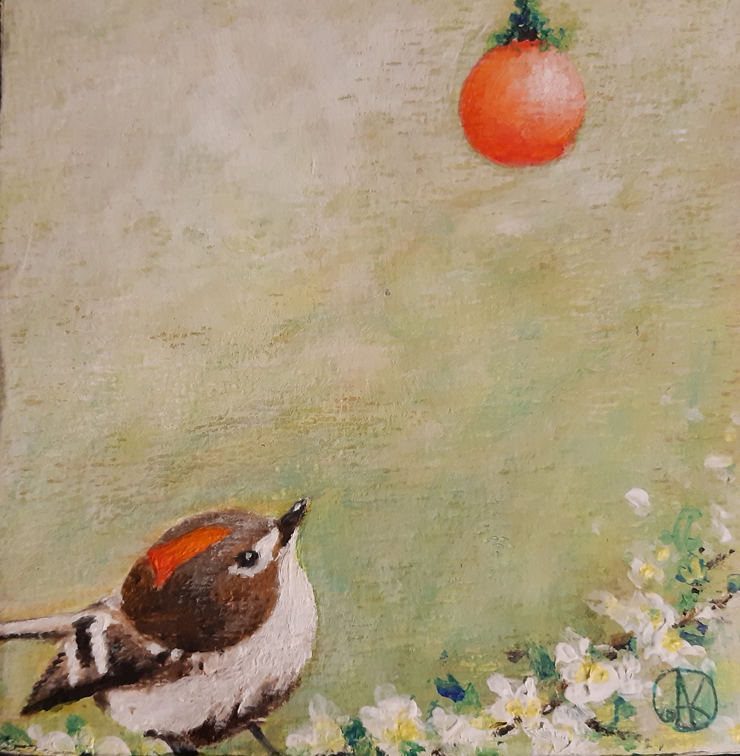 Vogeltje met belangstelling voor Kerstbal