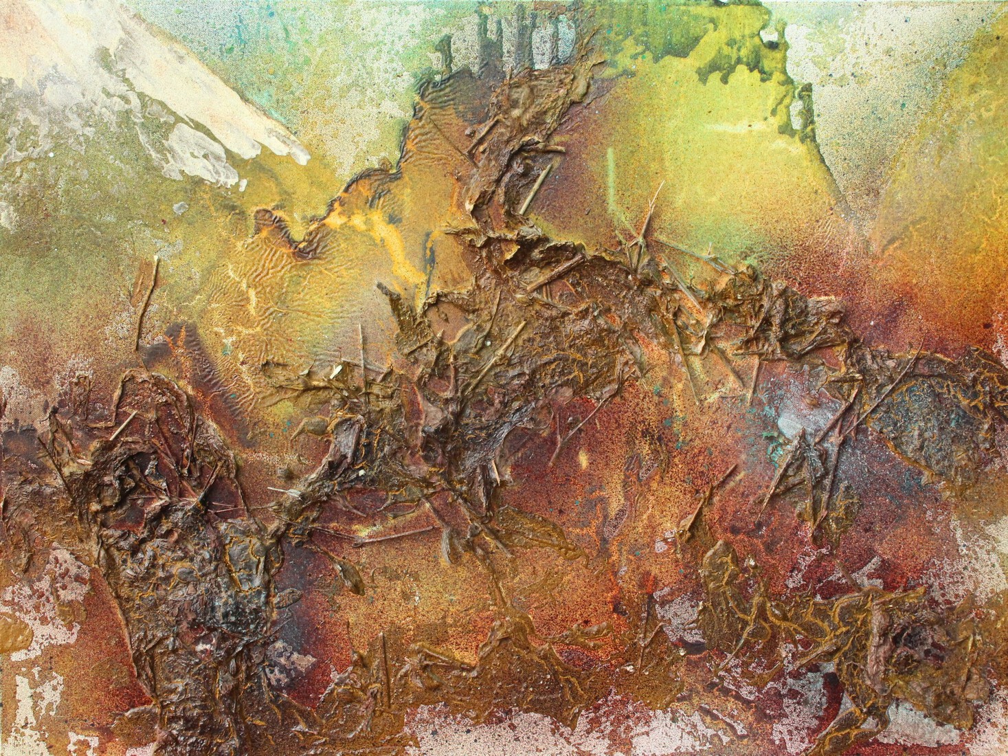 wild forest