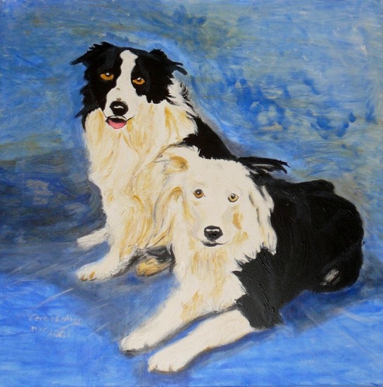 Bordercollies