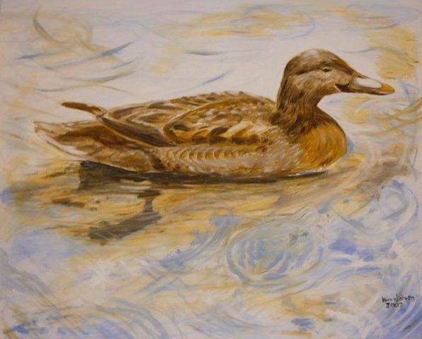 Eend in stadsfontein