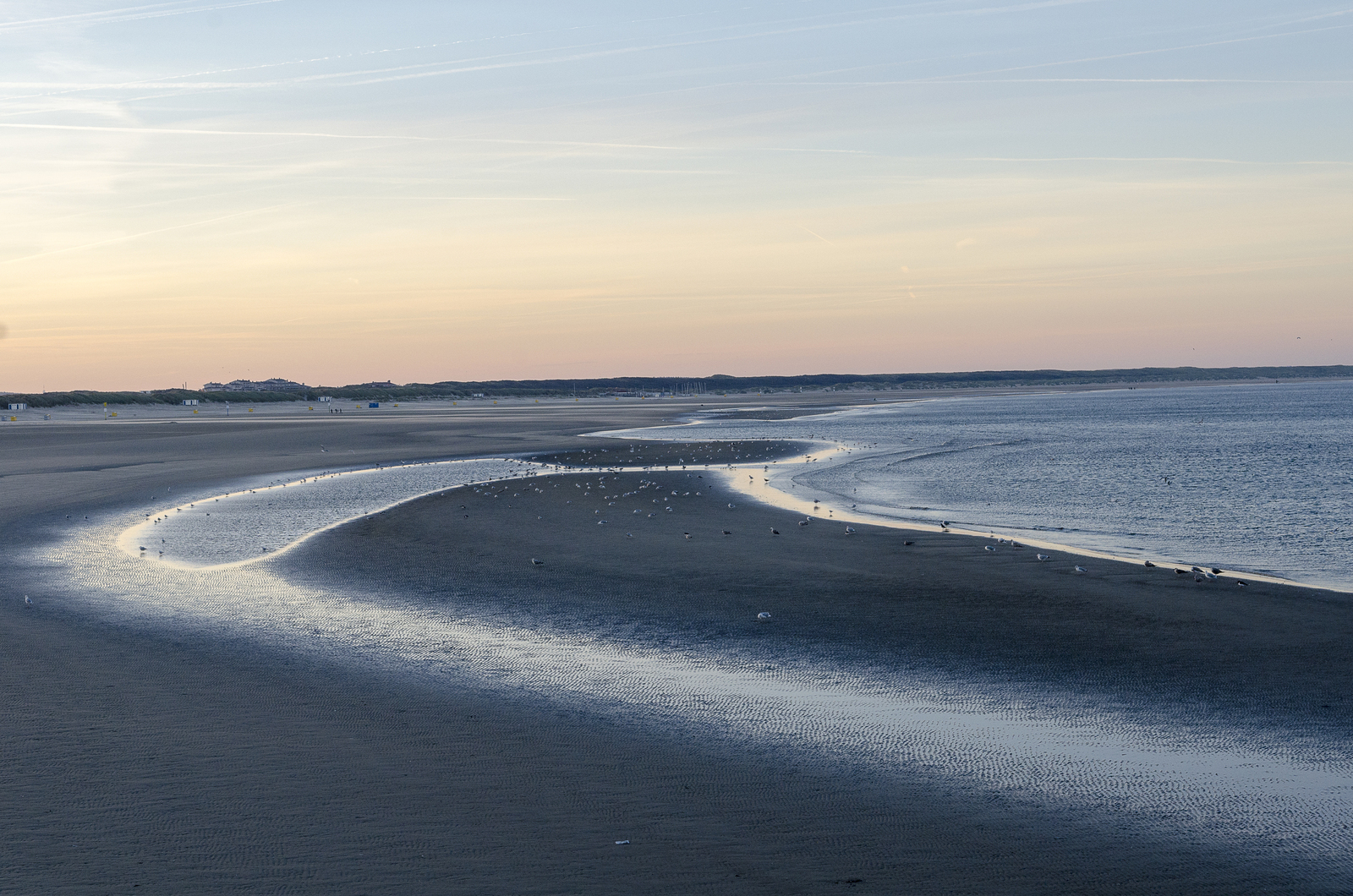 wadden coast