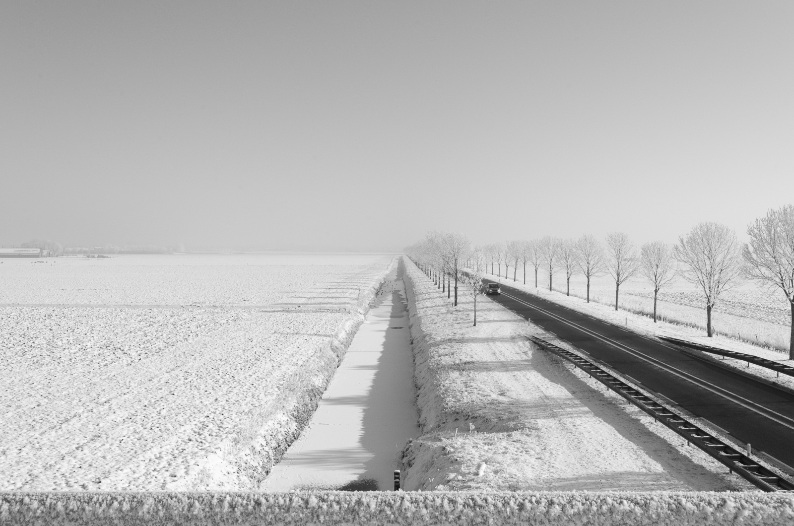 winter II black and white